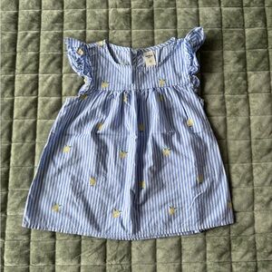 Blue & White Striped Lemon Print Top